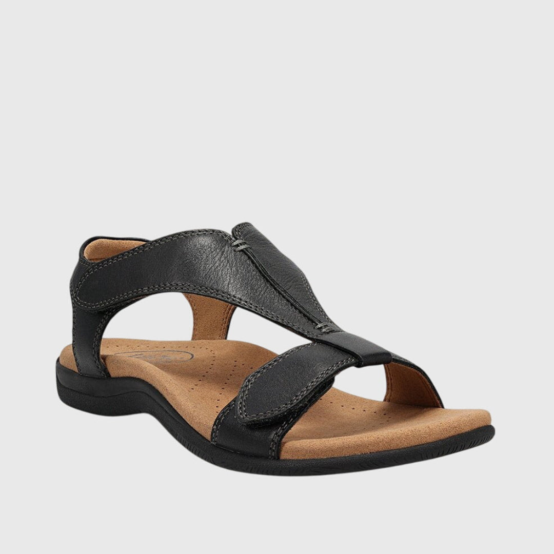 Black / 12